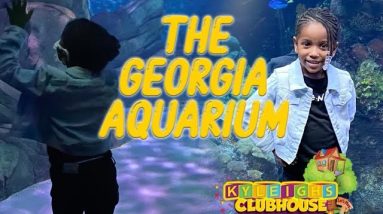 GA Aquarium |Things to do in GA| BEST DOLPHIN SHOW EVER!!!!!