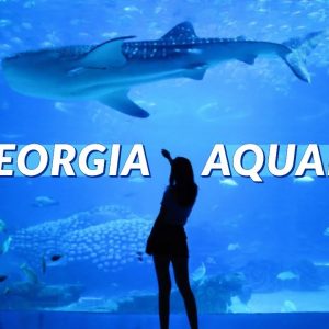 Virtual Tour of Georgia Aquarium in Atlanta - Whale Sharks and Dolphin Shows
