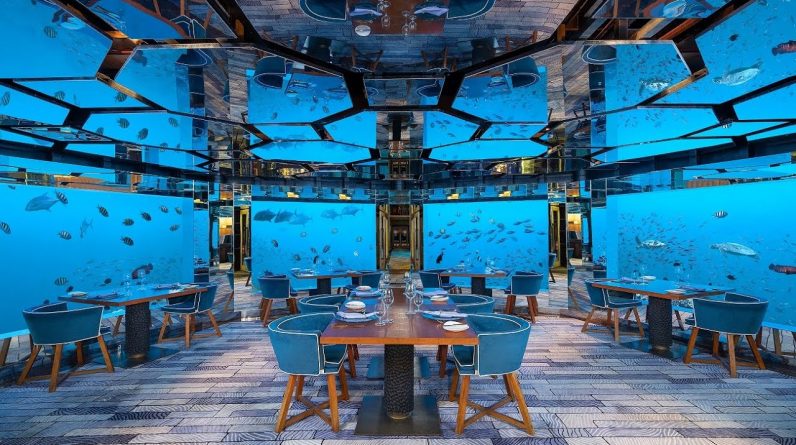 Underwater restaurant in the Maldives | Surreal fine dining experience
