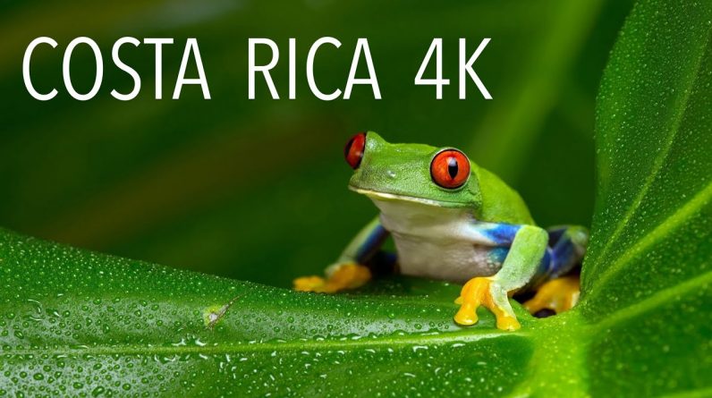 COSTA RICA | Highlights: rainforest, beaches, wildlife & adventure tours
