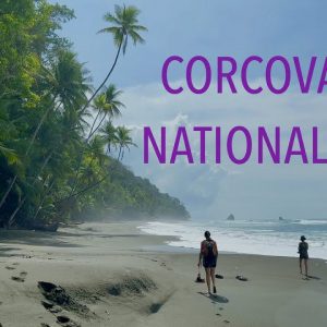 Corcovado National Park (Costa Rica) | The most biologically intense place on Earth