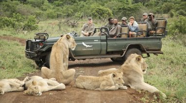 AFRICAN SAFARI 4K | Incredible Big Five animal encounters (Kruger National Park)
